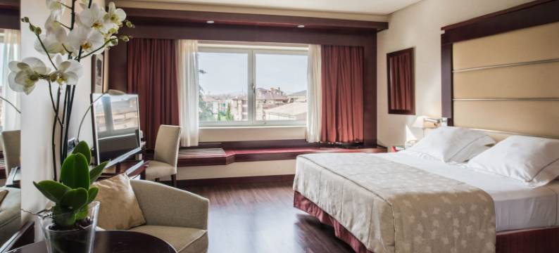 安达卢西亚中心酒店(Hotel Andalucía Center)图片