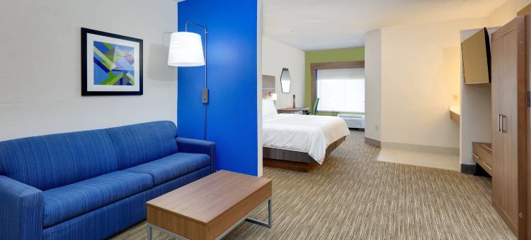 智选假日套房酒店奥斯汀圆石城(Holiday Inn Express & Suites AUSTIN - ROUND ROCK by IHG)图片