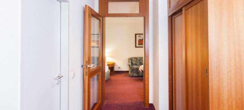 美因茨布里斯托尔旅行酒店(Trip Inn Bristol Hotel Mainz)图片