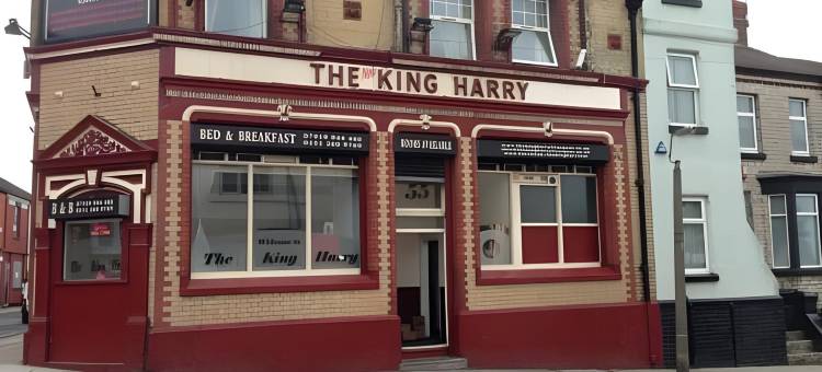 哈利国王酒吧&旅馆(The King Harry Bar and Hostel)图片