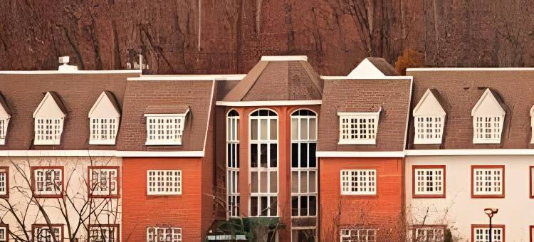 罗斯林酒店，希尔顿启缤精选(The Roslyn, Tapestry Collection by Hilton)图片