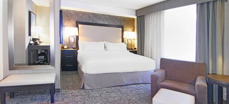 智选假日套房酒店卡尔加里(Holiday Inn Express & Suites Calgary)图片