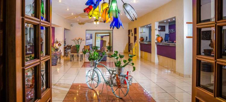 科多巴舒适酒店(Comfort Inn Córdoba)图片