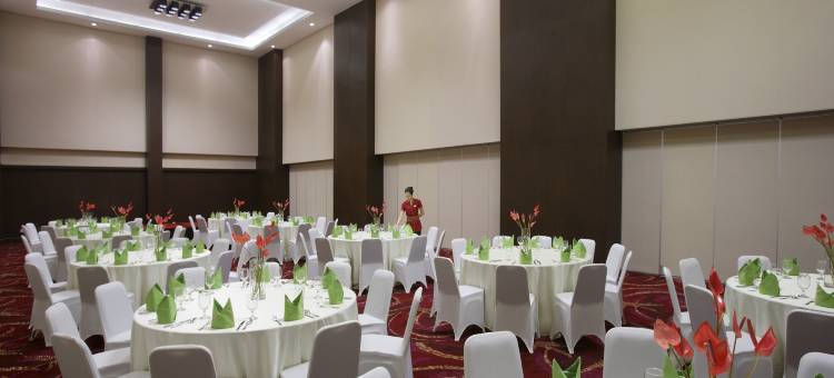 萨提卡帕卢酒店(Hotel Santika Palu)图片