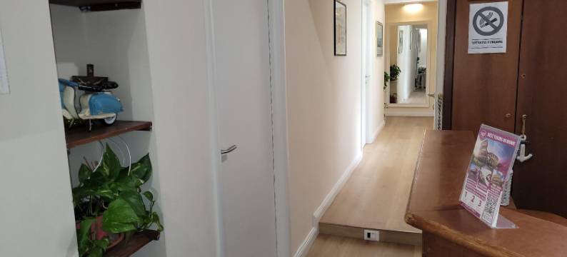 常青树B&B宾馆(Evergreen)图片