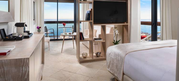 唐佩普盛美利亚酒店(Hotel Don Pepe Gran Meliá)图片