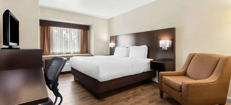 爱国者地贝斯特韦斯特酒店(Best Western Patriots Point)图片