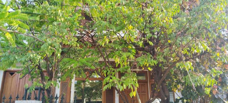 格里亚陈帕卡巴鲁(Griya Cempaka Baru At-Taqwa Syariah)图片