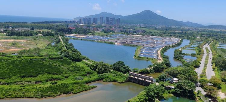 火苗姐公寓(敏捷大道分店)图片