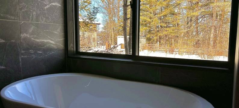 HARUNA VILLA At the foot of Mt Asama with excell图片