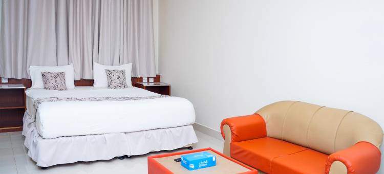 帕莱特穆斯卡特阿尔拜拉哈(Palette Muscat Al Bayrahaa)图片