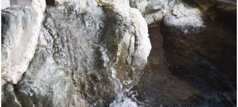 芦安温泉 岩园馆(Iwazonokan)图片