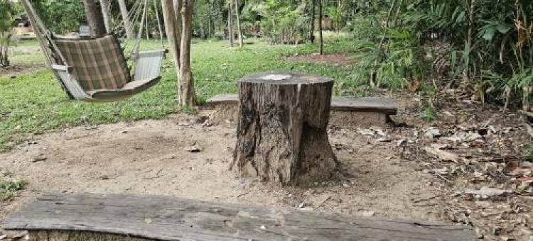 欢庆万维拉斯酒店(The Celebration Van Vilas)图片