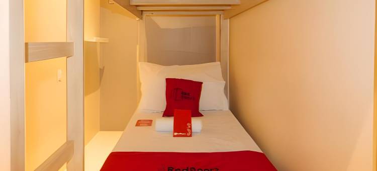 红多兹酒店@八打雁莱雅维沃酒店(RedDoorz @ Laiya Vivo Hotel Batangas)图片