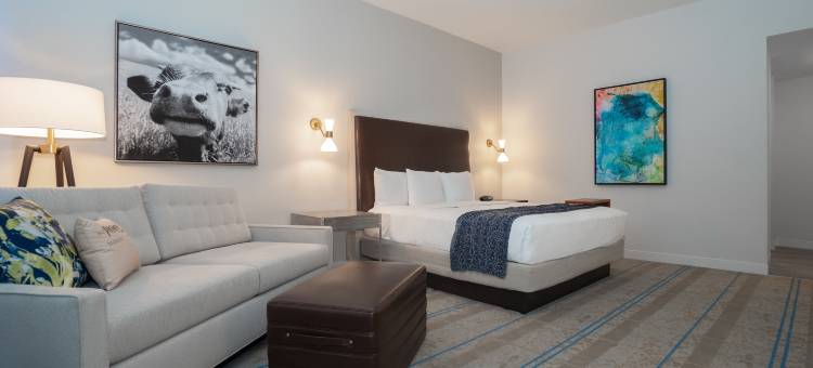 希尔顿奥斯汀机场酒店(Hilton Austin Airport)图片