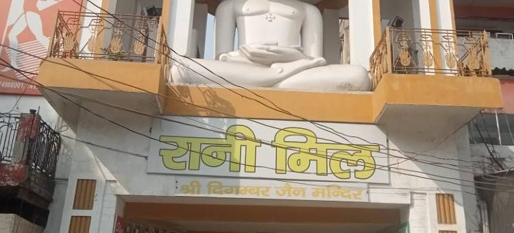 Green Serene Abode图片