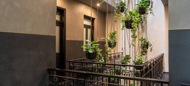 乌姆布拉尔希尔顿格芮精选系列(Umbral, a Curio Collection by Hilton)图片