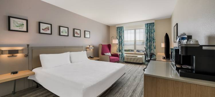 罗克福德希尔顿花园酒店(Hilton Garden Inn Rockford)图片