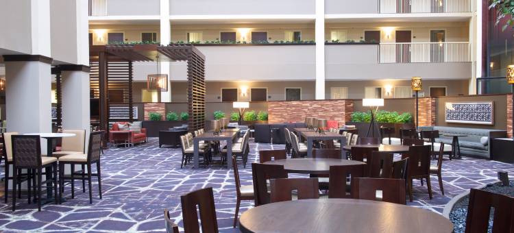 希尔顿费城机场大使套房酒店(Embassy Suites by Hilton Philadelphia Airport)图片