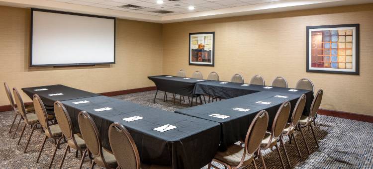 希尔顿欢朋套房酒店-奥马哈拉维斯塔(Hampton Inn & Suites Omaha Southwest-La Vista)图片