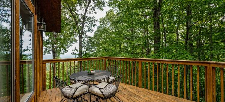 Spectacular View! /Wifi Minutes to downtown / Secluded / hot tub图片