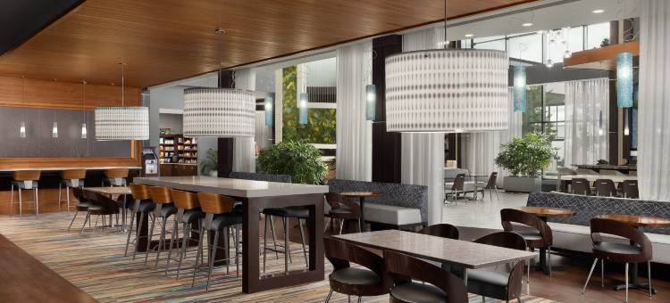 诺克斯维尔西希尔顿安泊酒店(Embassy Suites by Hilton Knoxville West)图片