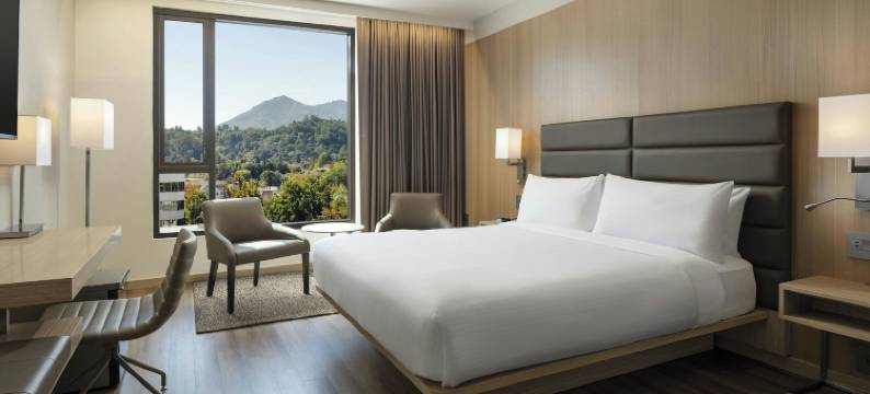 圣拉斐尔市中心的AC酒店(AC Hotel San Rafael Downtown)图片