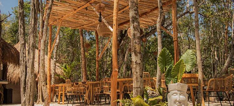 黄色巢穴(The Yellow Nest Tulum)图片