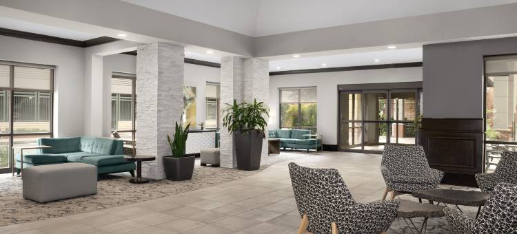 杰克逊维尔市中心南岸希尔顿花园酒店(Hilton Garden Inn Jacksonville Downtown Southbank)图片
