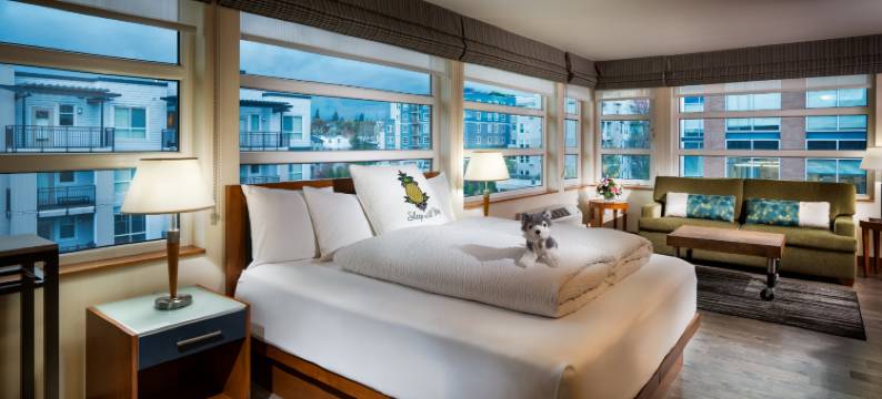 Staypineapple-华盛顿湖酒店-西雅图大学区(Staypineapple, Watertown Hotel, University District Seattle)图片