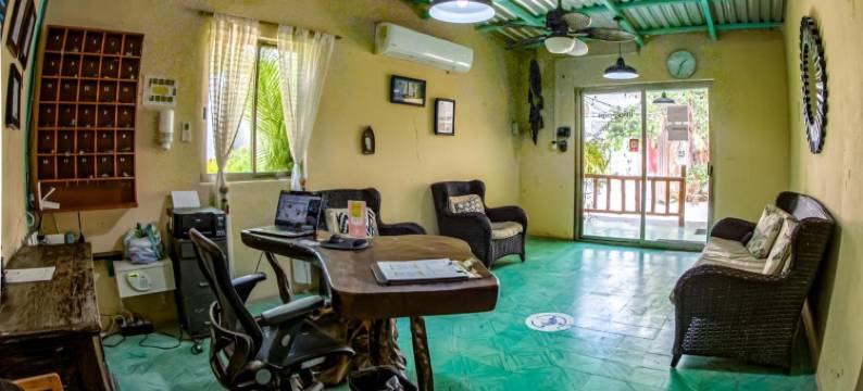 米赫的椰子小木屋(Coconut by ÓOL Hotels)图片