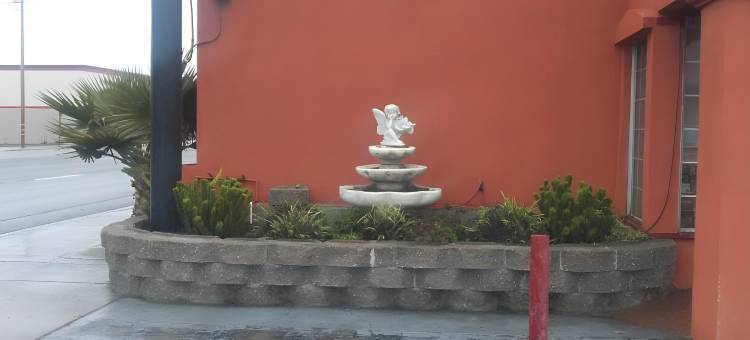 阳星旅馆(Sunstar Inn)图片