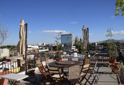 Suites Chapultepec Hotel Overview