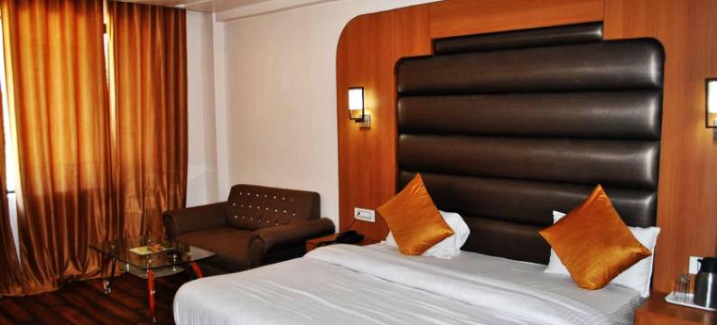 纳特拉吉国际酒店(Hotel Natraj International)图片