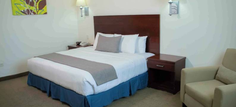 埃罗普托洛斯卡波斯酒店(Hotel Aeropuerto Los Cabos)图片