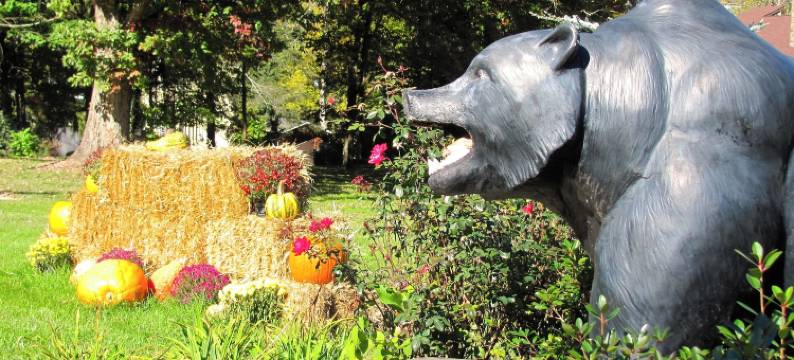 布鲁克赛德旅馆(Brookside Lodge - Gatlinburg - on the River)图片