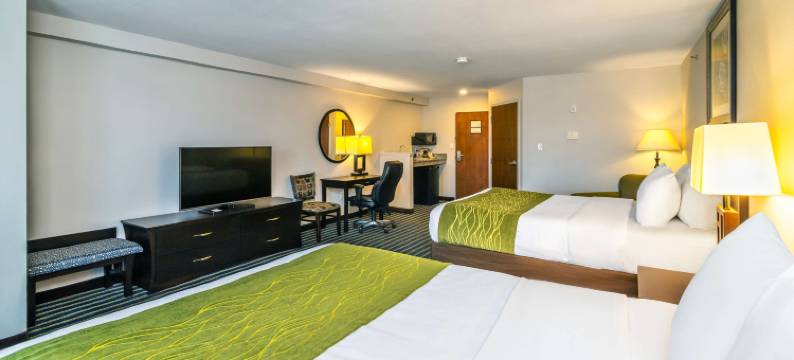 舒适套房酒店(Comfort Inn & Suites)图片