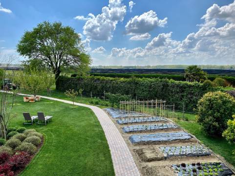 Agriturismo Casale ai Prati农家乐(Agriturismo Casale ai Prati)