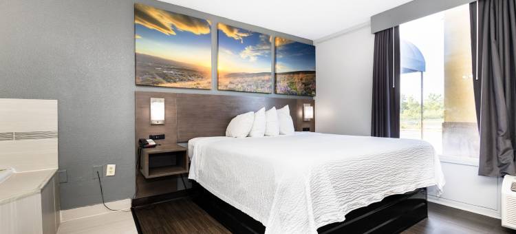 夏伦维尔戴斯酒店(Days Inn by Wyndham Sharonville)图片