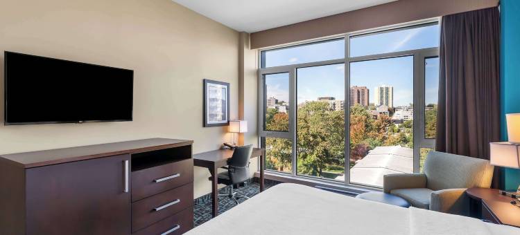 蒙特利尔贝斯特韦斯特优质酒店(Best Western Plus Hotel Montreal)图片