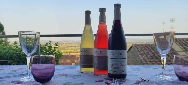 圣米歇尔城堡(San Michele Al Castello)图片