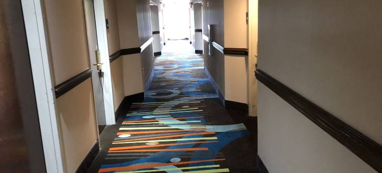 默里尔斯因莱特丽怡酒店(Country Inn & Suites by Radisson, Murrells Inlet, SC)图片