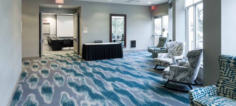 底特律诺维希尔顿花园客栈(HIlton Garden Inn Detroit/Novi)图片