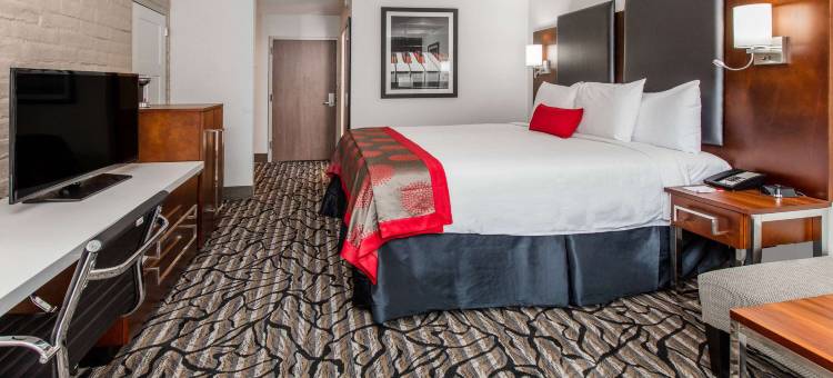 奥斯汀南华美达酒店(Ramada by Wyndham Austin South)图片