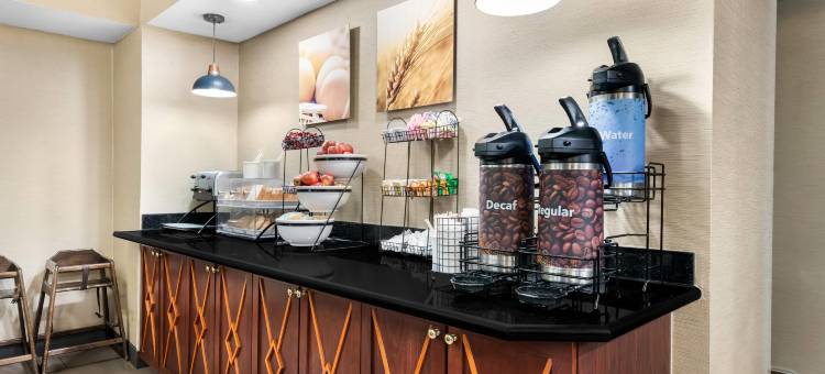 东北镇套房舒适酒店(Comfort Inn & Suites)图片