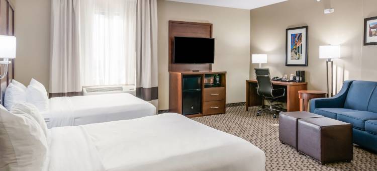 斯托克顿堡舒适套房酒店(Comfort Suites)图片