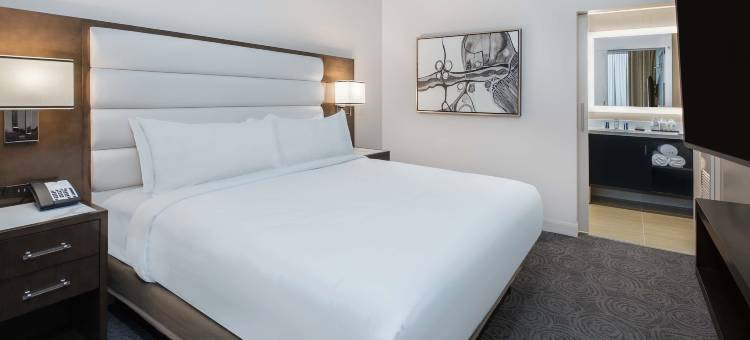 休斯顿西凯蒂希尔顿安泊酒店(Embassy Suites by Hilton Houston West - Katy)图片