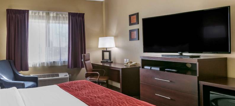 北柯林斯堡舒适酒店(Comfort Inn Fort Collins North)图片