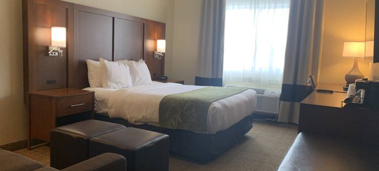 皮奥里亚I-74舒适套房酒店(Comfort Suites Peoria I-74)图片
