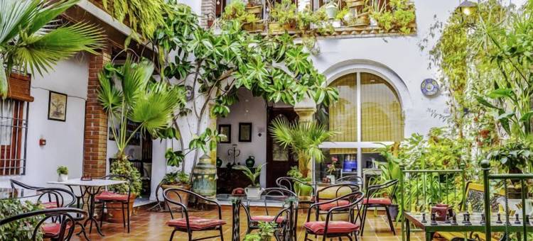 科尔多瓦弧形之家(Arc House Córdoba Only Adults)图片